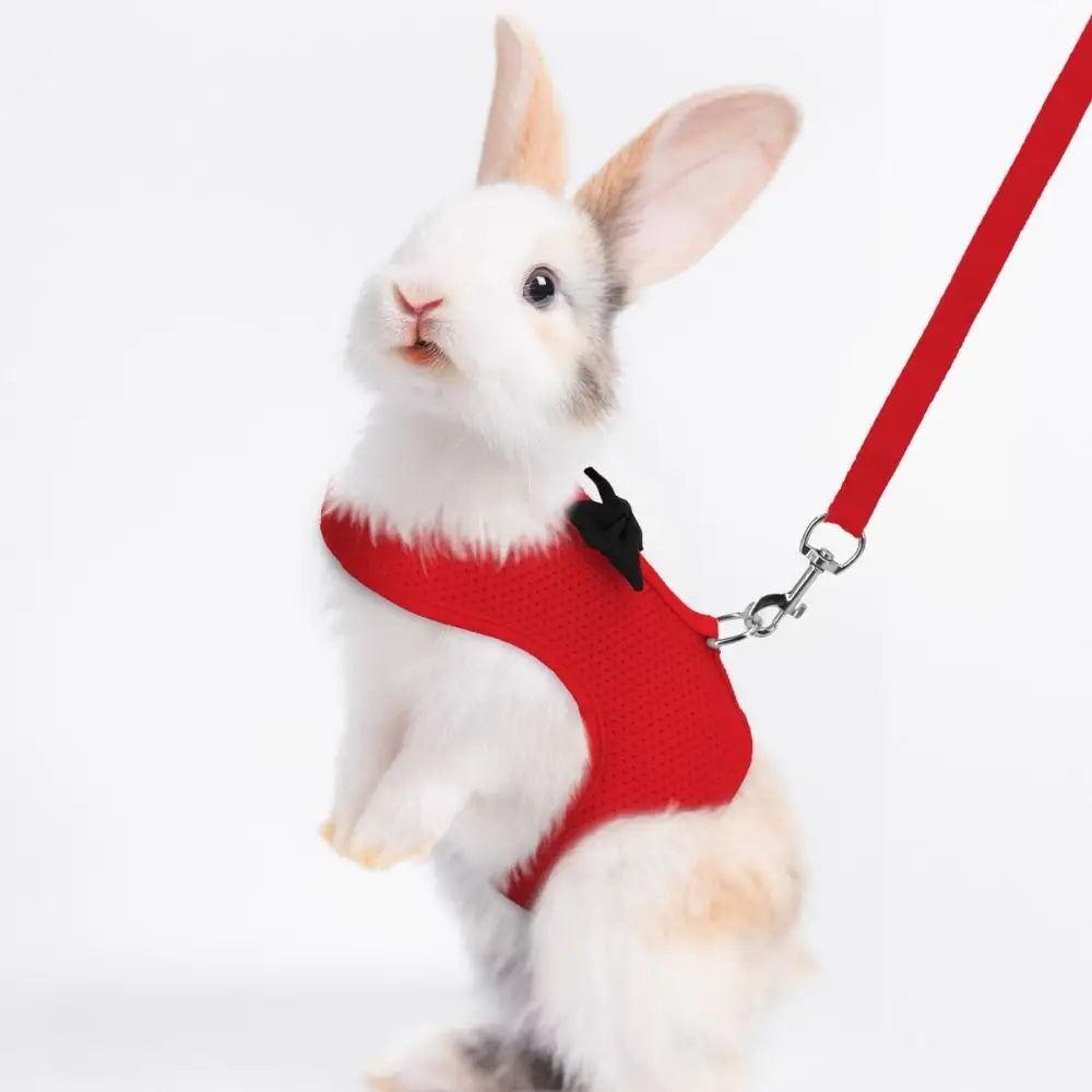 2pcs Pet Accessories Soft Rabbit Harness and Leash Set No Pull Mesh Pet Harness Adjustable Portable Pet Chest Strap Hamsters