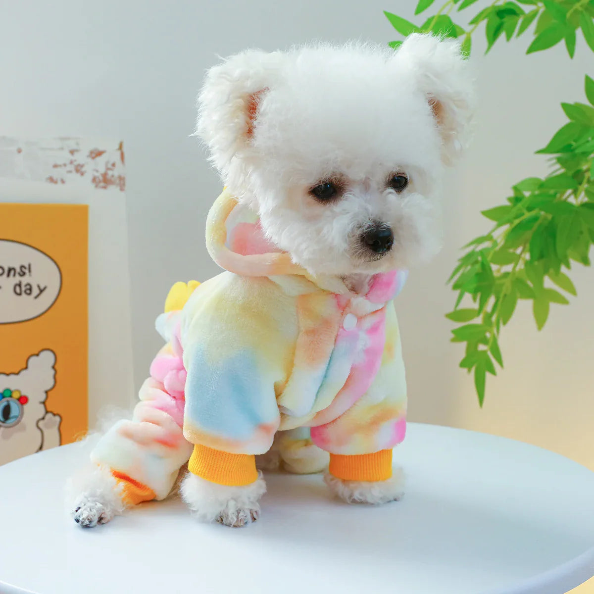 1PC Pet Apparel Dog Autumn and Winter Thickened Warm and Colorful Dinosaur Four Legged Coat Transformation For Small Medium Dogs